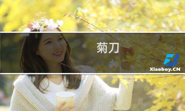 菊刀 攻略