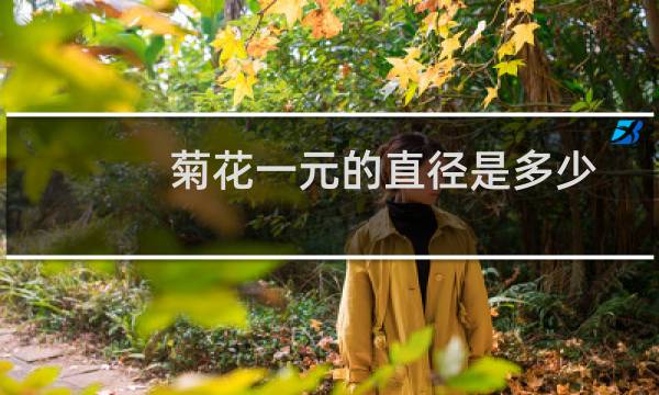 菊花一元的直径是多少
