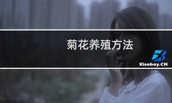 菊花养殖方法