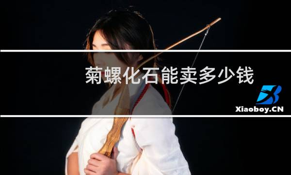 菊螺化石能卖多少钱