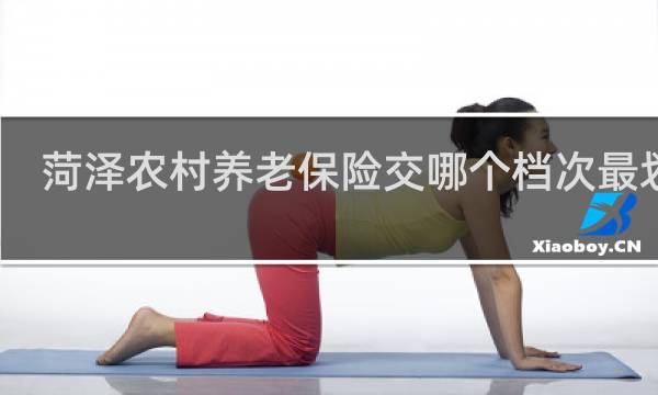 菏泽农村养老保险交哪个档次最划算