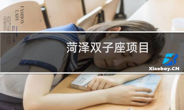 菏泽双子座项目