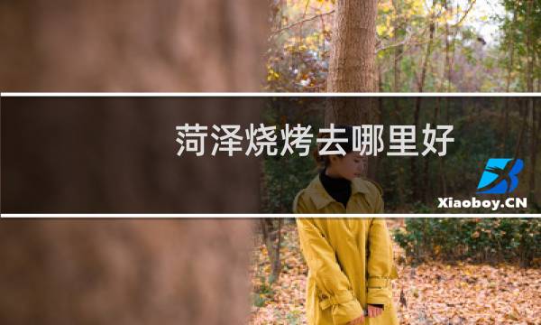 菏泽烧烤去哪里好