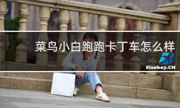 菜鸟小白跑跑卡丁车怎么样