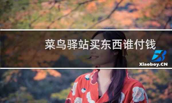 菜鸟驿站买东西谁付钱