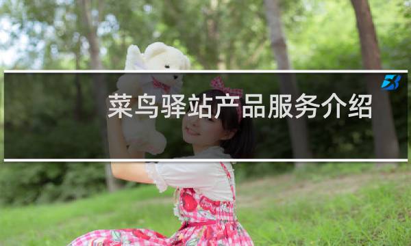 菜鸟驿站产品服务介绍