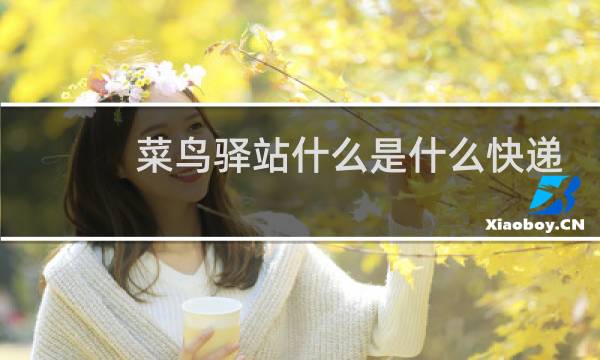 菜鸟驿站什么是什么快递