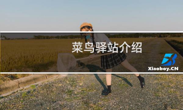 菜鸟驿站介绍