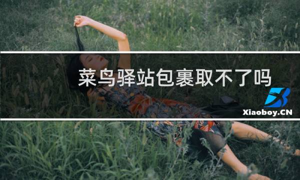菜鸟驿站包裹取不了吗