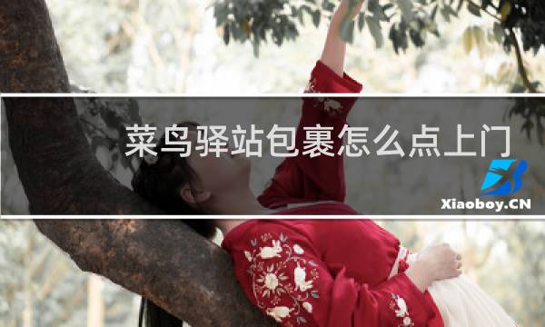 菜鸟驿站包裹怎么点上门