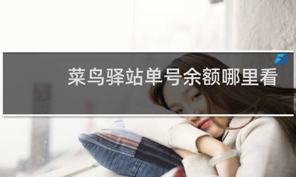 菜鸟驿站单号余额哪里看