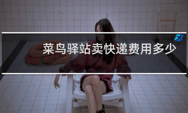 菜鸟驿站卖快递费用多少