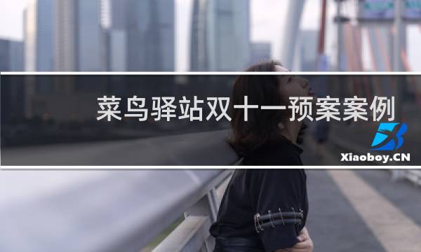 菜鸟驿站双十一预案案例