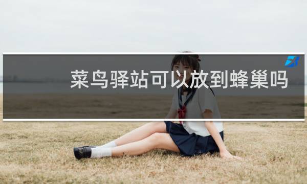 菜鸟驿站可以放到蜂巢吗