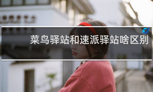 菜鸟驿站和速派驿站啥区别