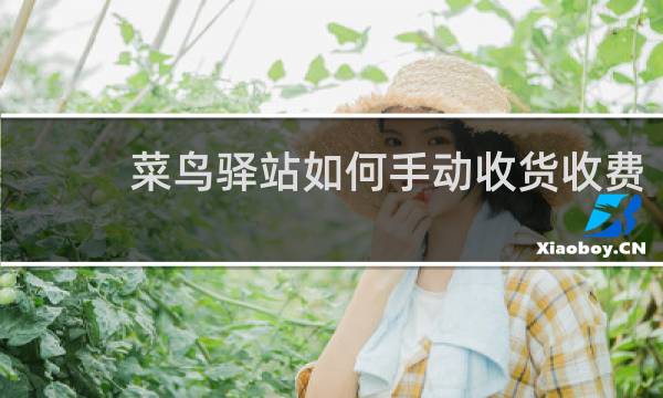 菜鸟驿站如何手动收货收费