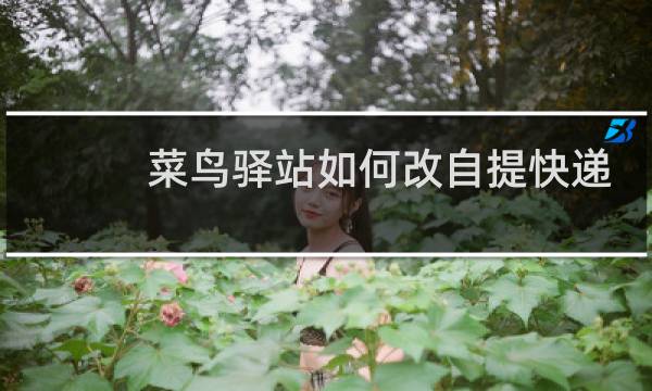 菜鸟驿站如何改自提快递