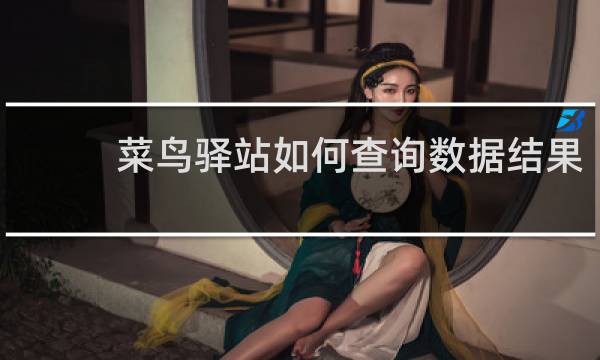 菜鸟驿站如何查询数据结果