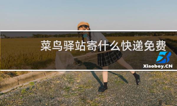 菜鸟驿站寄什么快递免费