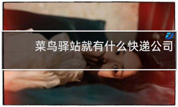 菜鸟驿站就有什么快递公司