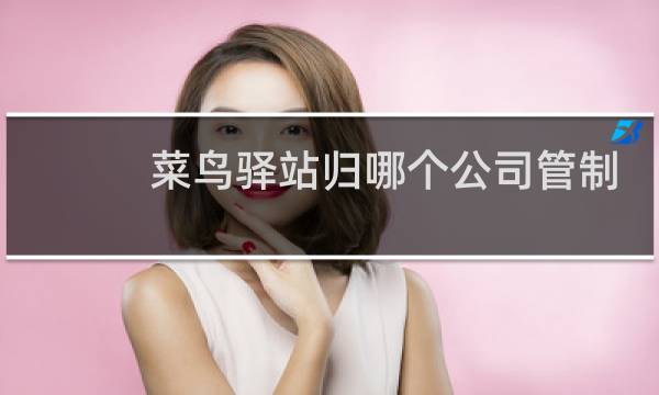 菜鸟驿站归哪个公司管制