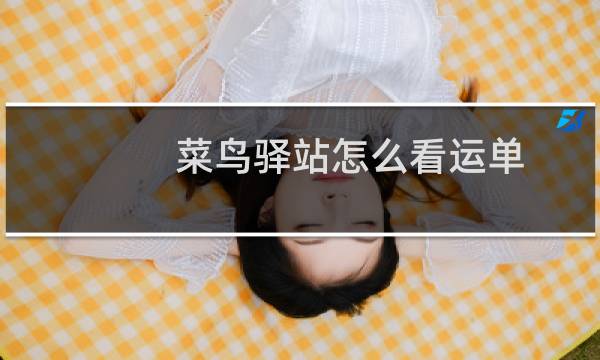 菜鸟驿站怎么看运单