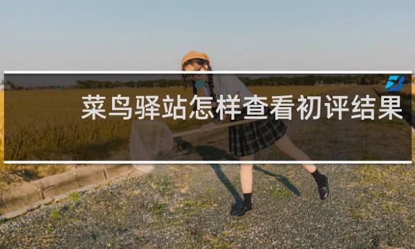 菜鸟驿站怎样查看初评结果
