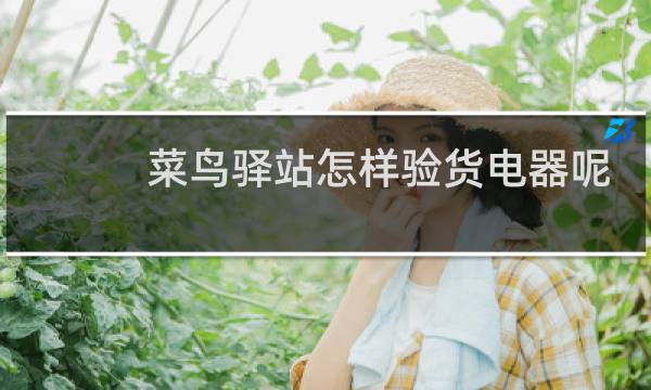 菜鸟驿站怎样验货电器呢