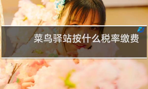 菜鸟驿站按什么税率缴费