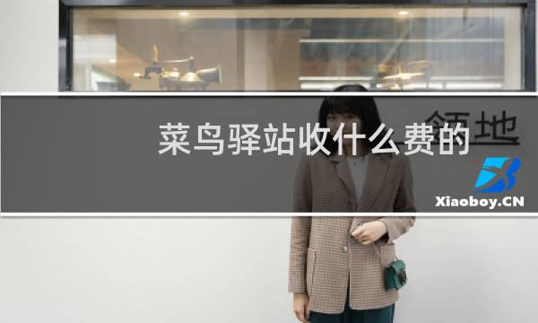 菜鸟驿站收什么费的