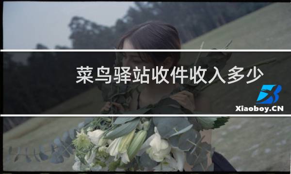 菜鸟驿站收件收入多少