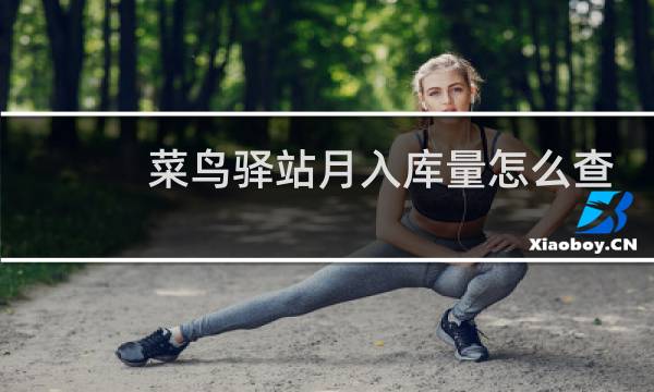 菜鸟驿站月入库量怎么查