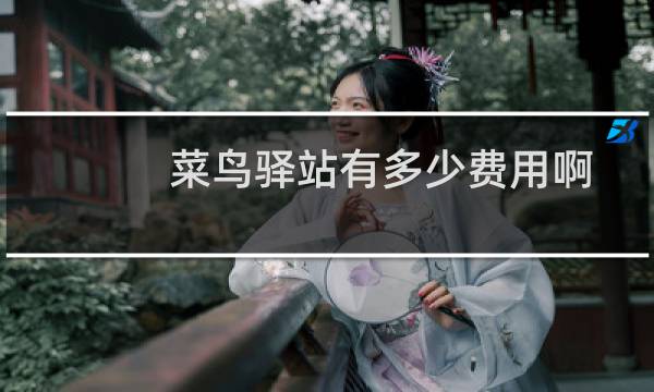 菜鸟驿站有多少费用啊