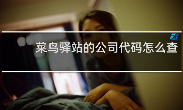 菜鸟驿站的公司代码怎么查