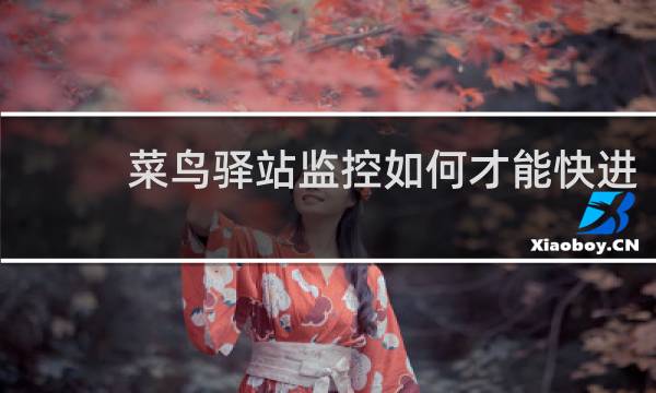 菜鸟驿站监控如何才能快进