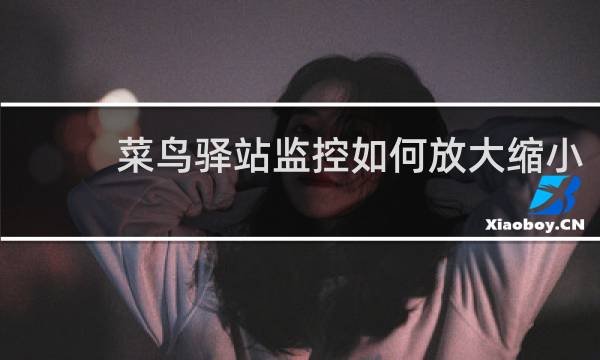 菜鸟驿站监控如何放大缩小