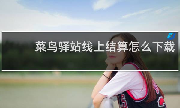 菜鸟驿站线上结算怎么下载