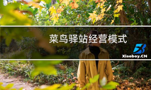 菜鸟驿站经营模式