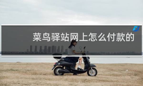 菜鸟驿站网上怎么付款的