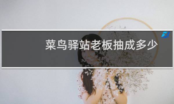 菜鸟驿站老板抽成多少