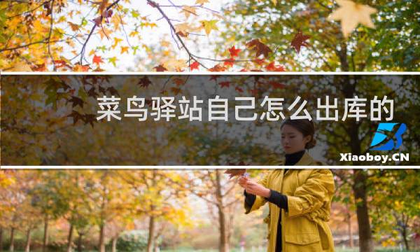 菜鸟驿站自己怎么出库的