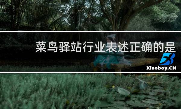 菜鸟驿站行业表述正确的是