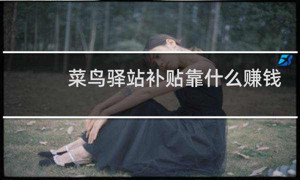 菜鸟驿站补贴靠什么赚钱