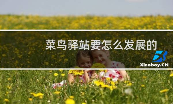 菜鸟驿站要怎么发展的