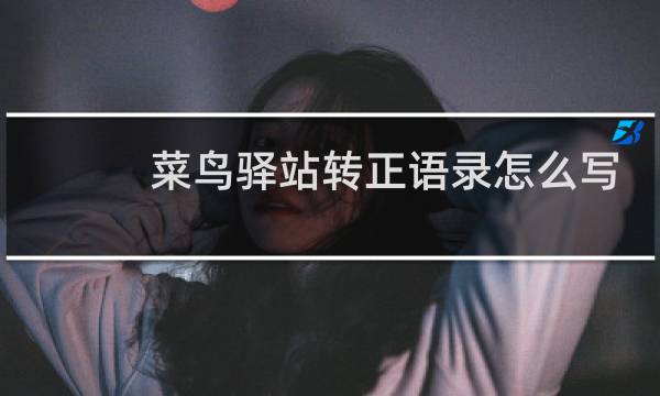 菜鸟驿站转正语录怎么写