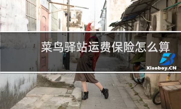 菜鸟驿站运费保险怎么算