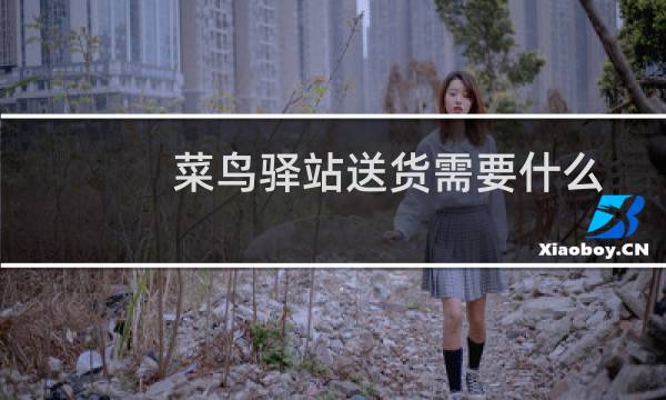 菜鸟驿站送货需要什么