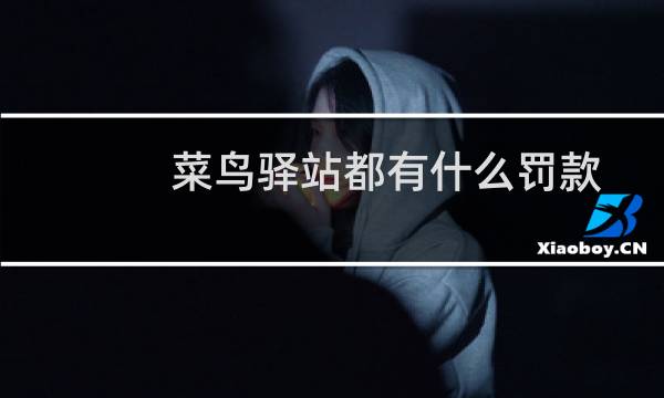 菜鸟驿站都有什么罚款