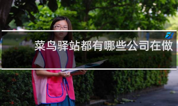 菜鸟驿站都有哪些公司在做
