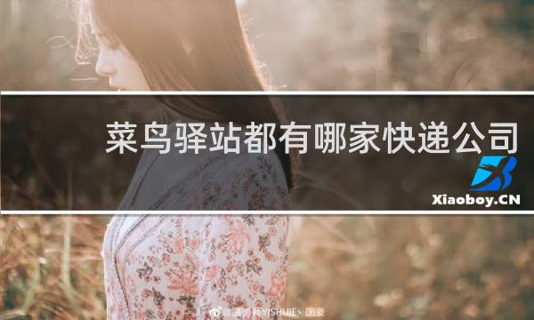 菜鸟驿站都有哪家快递公司